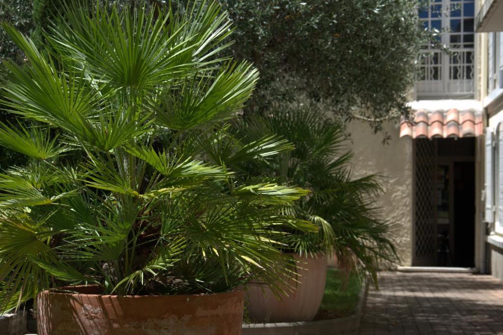 Hotel Du Cheval Blanc Saint-Remy-de-Provence Bagian luar foto